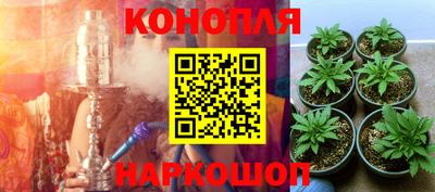 индика Бугуруслан