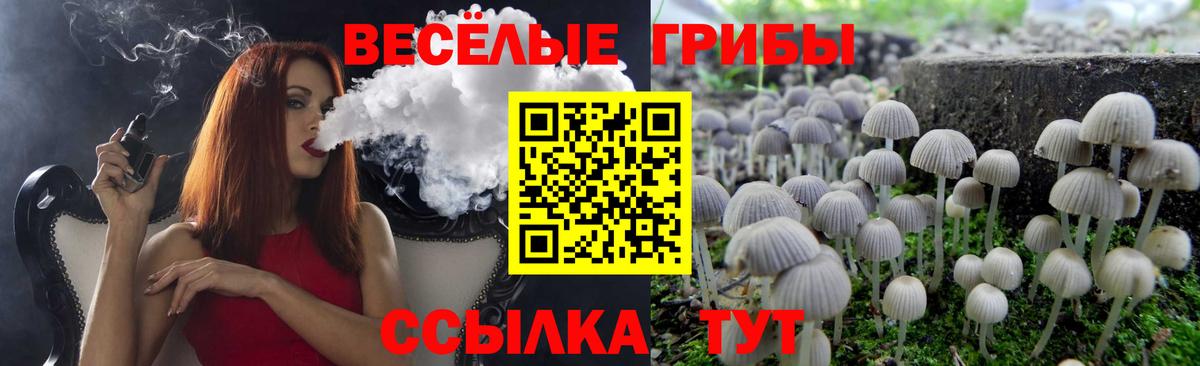 Моздок  Псилоцибиновые грибы GOLDEN TEACHER  Псилоцибиновые грибы Cubensis  дарнет шоп  Вход с VPN 